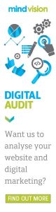 digital audit