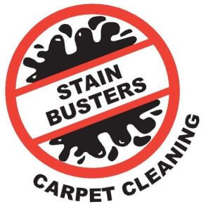 Custom software design client Stain busters